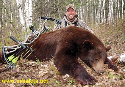 Лук блочный HOYT "Carbon Spyder 30"  USA