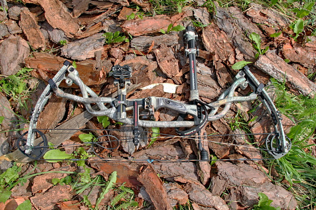 Блочный лук Hoyt "Carbon Element G3".