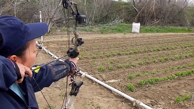 Лук блочный Bear Archery "Apprentice 3" (США)